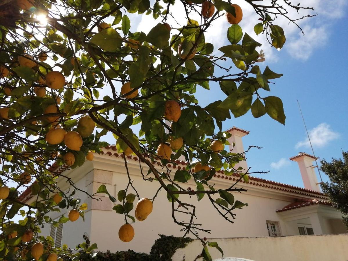 Limmo Garden - Alto Do Estoril Otel Cascais Dış mekan fotoğraf